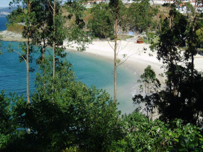 LOCAL COMERCIAL EN  SEIXO 